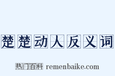 楚楚动人反义词是什么意思的图片